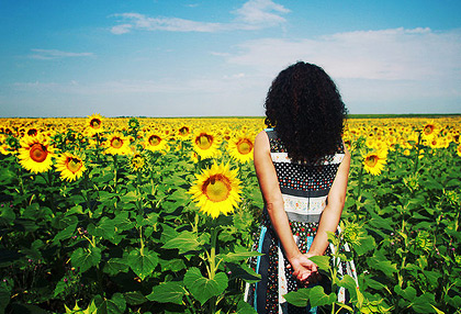 简单的ddos网页在线攻击